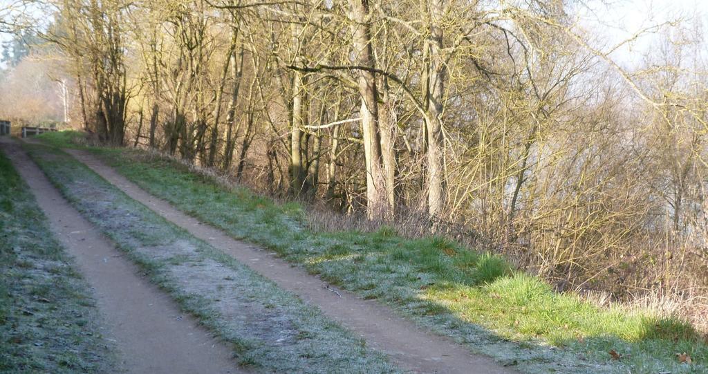 Les Gites De Colliers Muides-sur-Loire Oda fotoğraf