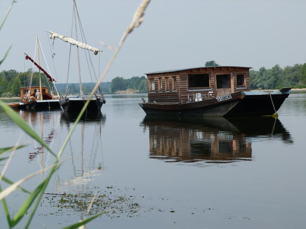 Les Gites De Colliers Muides-sur-Loire Dış mekan fotoğraf